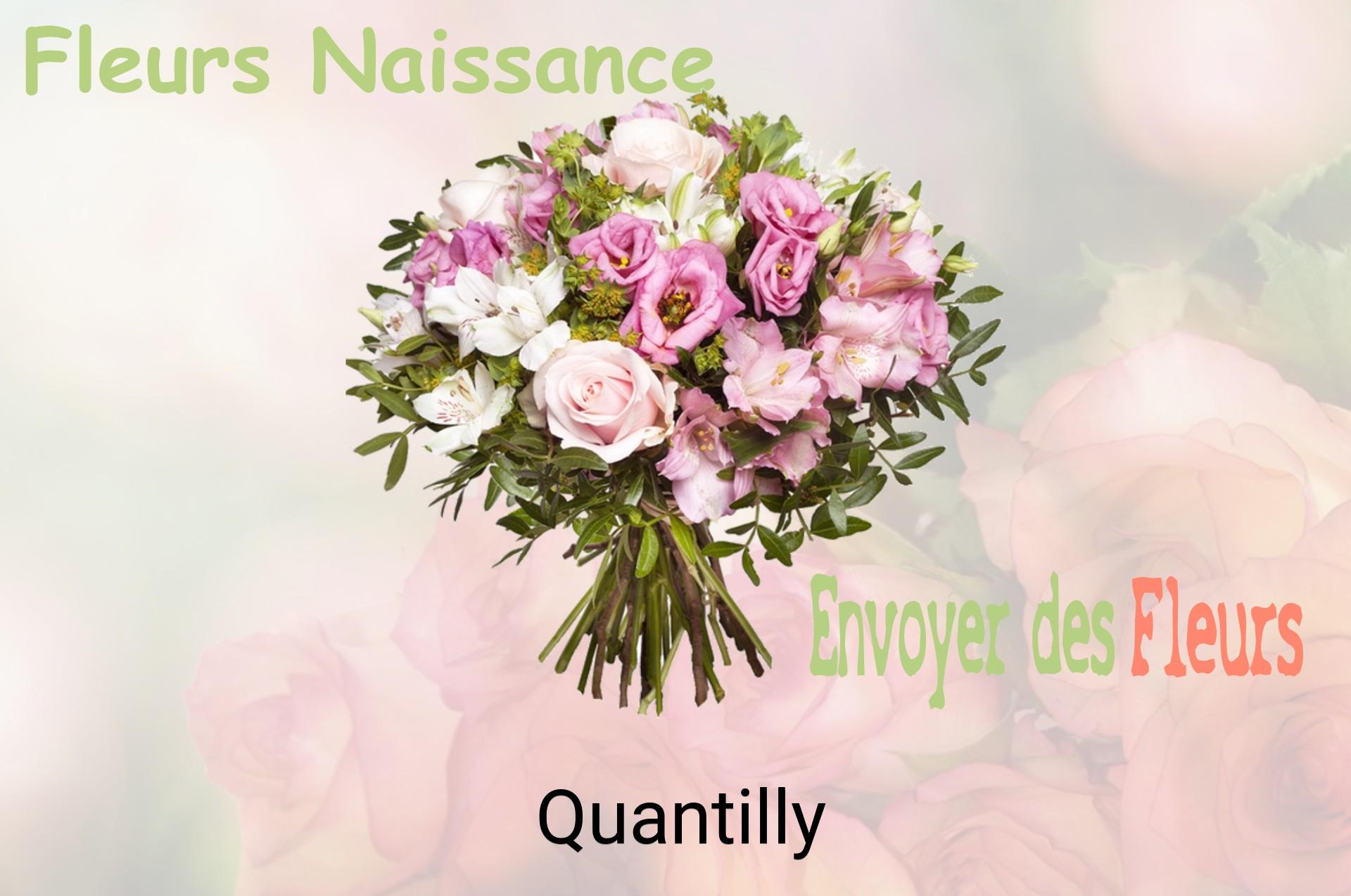 Bouquet de fleurs de naissance livré à Quantilly