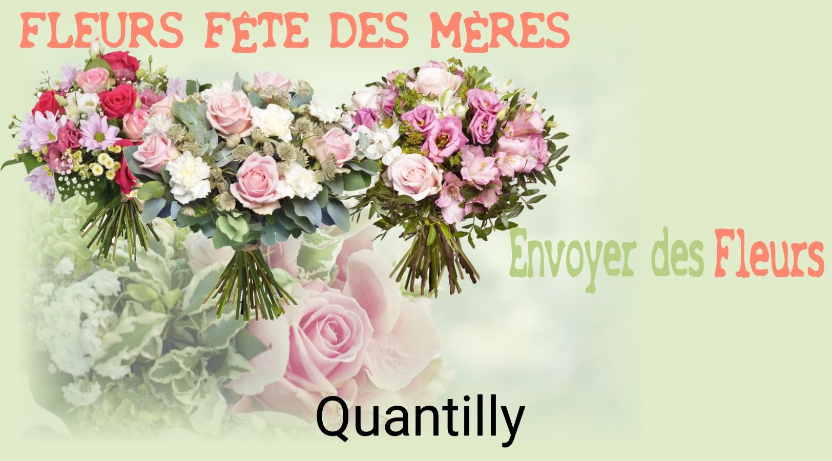 Bouquet de Fête des Mères livré à Quantilly